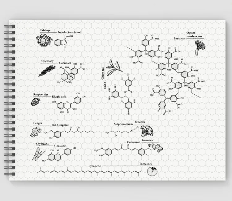 kf-S6b9741dbc8784bc088a25426c8be5677G-Hexagonal-Organic-and-Bio-Chemistry-Graph-Rule-Paper-Notebook-Graph-Notebooke-Lab-Book-Graph-and-Lined