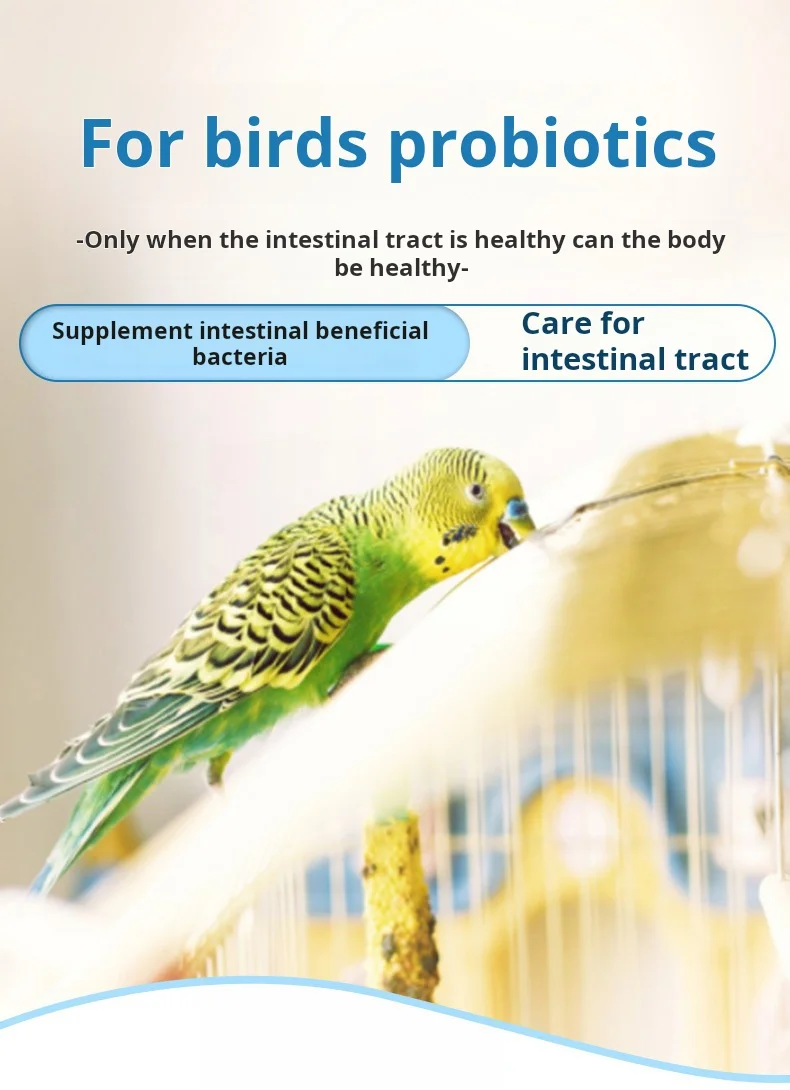 kf-S74d69dad2cb64289851996cac82919119-Multivitamin-Snack-Brooder-Feed-Canaries-Probiotic-Bird-Parrot-Food-Avian-Health-Supplements-Healthy-Vitamins-for-Vitamin