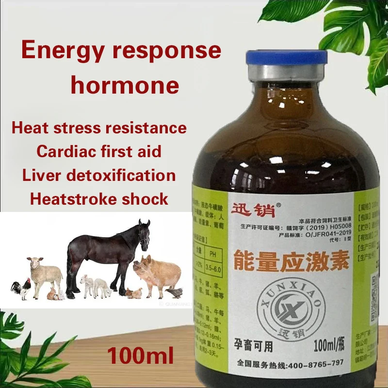 kf-Sa45b94727ea74f3b8e7de7a34744147eY-Livestock-horses-cattle-and-sheep-use-liquid-taurine-to-supplement-the-nutritional-electrolyte-vitamin-anti-stress