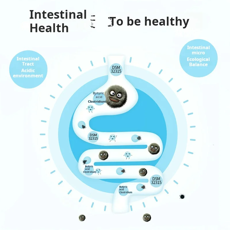 kf-Sdc04fe642a9944ba99cfefe77bb4dd967-Multivitamin-Snack-Brooder-Feed-Canaries-Probiotic-Bird-Parrot-Food-Avian-Health-Supplements-Healthy-Vitamins-for-Vitamin