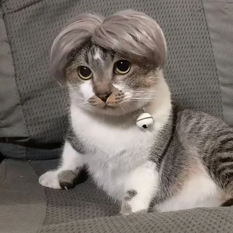 kf-S13b7bc4ffa0443589d790c6b2cc9cc1bY-Pet-Cat-Dog-Cosplay-Wig-Weird-Funny-Wig-Personalized-Holiday-Party-Dress-Up-Dog-Wig-Cute