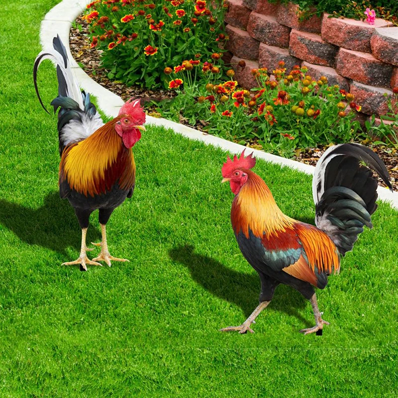 kf-S597c54a69d664001bfc4922498abbbf0r-Garden-Rooster-Statue-Chicken-Sculpture-For-Yard-Decor-Weatherproof-Hen-Figurine-For-Patio-Backyard-Home-Outdoor