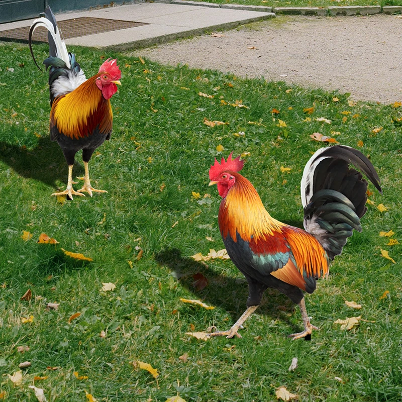 kf-S88089661726a4e3c901fde6d3d9024c6H-Garden-Rooster-Statue-Chicken-Sculpture-For-Yard-Decor-Weatherproof-Hen-Figurine-For-Patio-Backyard-Home-Outdoor
