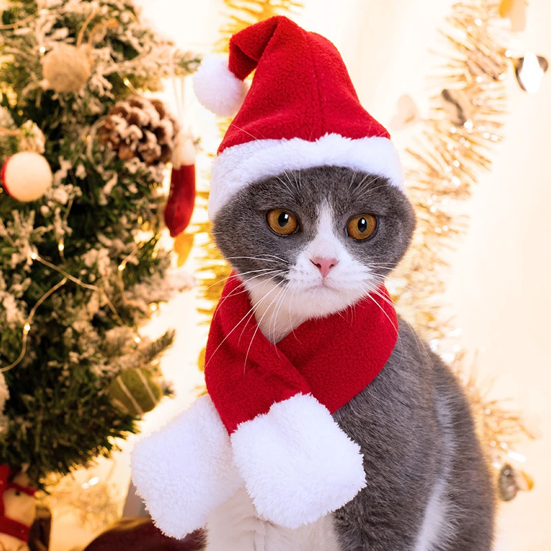 kf-Se3bddc6eaafc4c3b8d8d75969e64b9c2z-Cute-Pet-Christmas-Ornaments-Winter-Plush-Xmas-Hat-Scarf-Headwear-Cats-Dogs-Santa-New-Year-Cosplay
