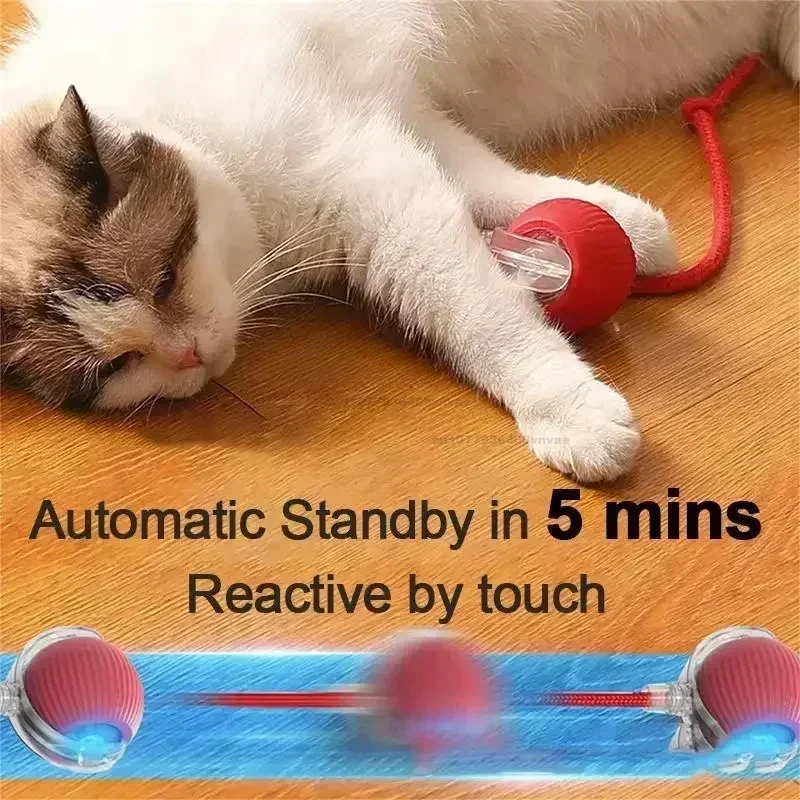 kf-S5fb9f66a0f5c400bb3abb804e54c6bbfk-Cat-Ball-Interactive-Ball-Cat-Dog-Toy-Glow-in-The-Dark-Rubber-Dog-Balls-Automatic-Rolling