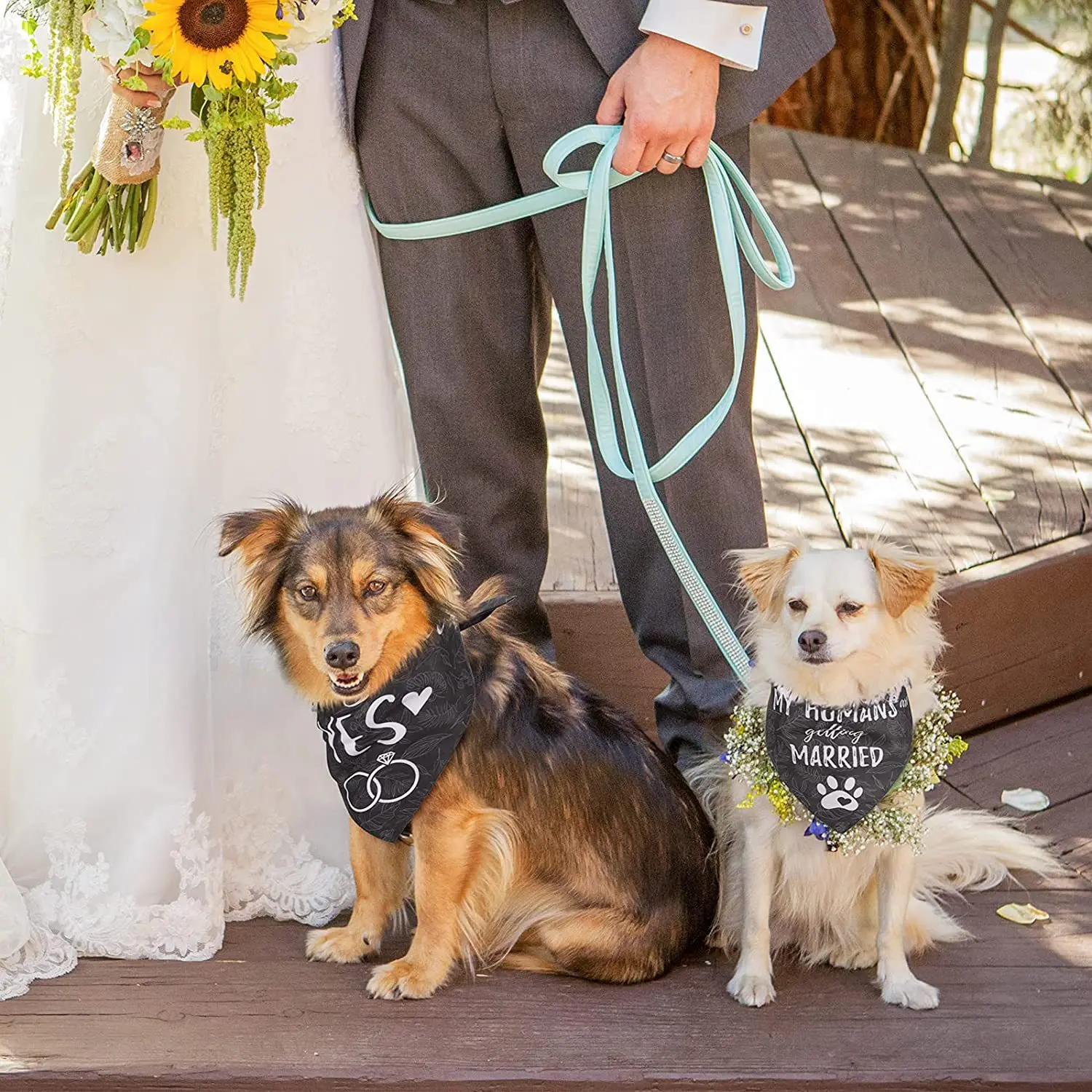 kf-S727575936648436f80746b0e19bec5bbo-Dog-Bandana-Personalised-2-Pack-Pet-Bib-Bandana-Scarf-for-Wedding-FestivalCat-and-Dog-Accessories-Bow
