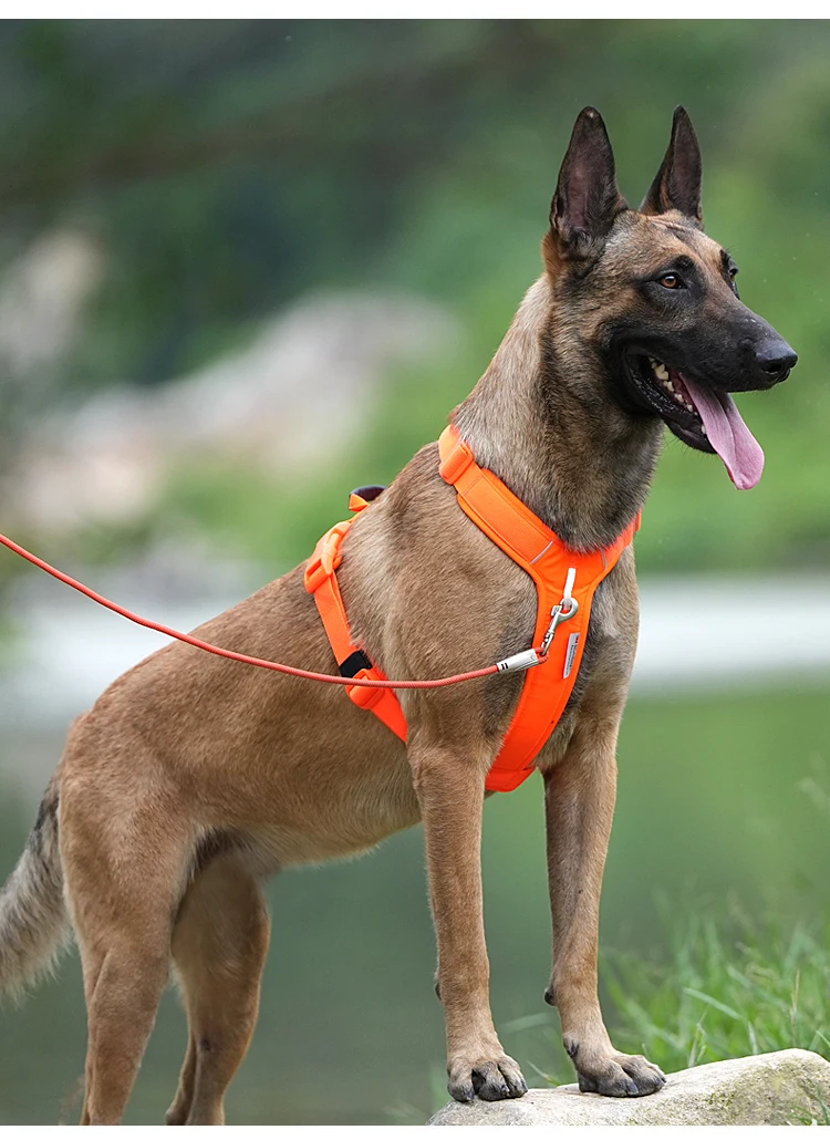 kf-S767ffbb4ae5d41058045a927e0051dbcj-Pet-Reflective-Pet-Dog-Harness-Small-Medium-Large-Vest-Adjustable-with-Safety-Buckle-Outdoor-Travel-dog