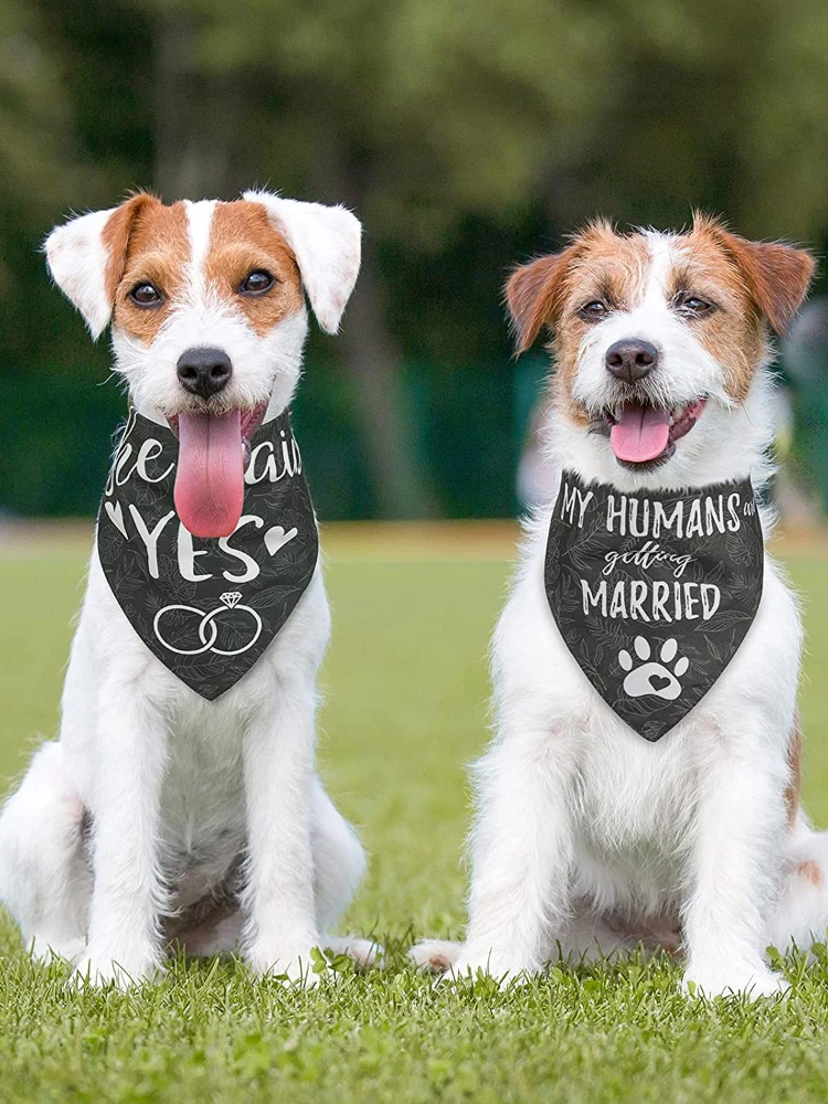 kf-Sa07c75725161490cb206428712990700U-Dog-Bandana-Personalised-2-Pack-Pet-Bib-Bandana-Scarf-for-Wedding-FestivalCat-and-Dog-Accessories-Bow